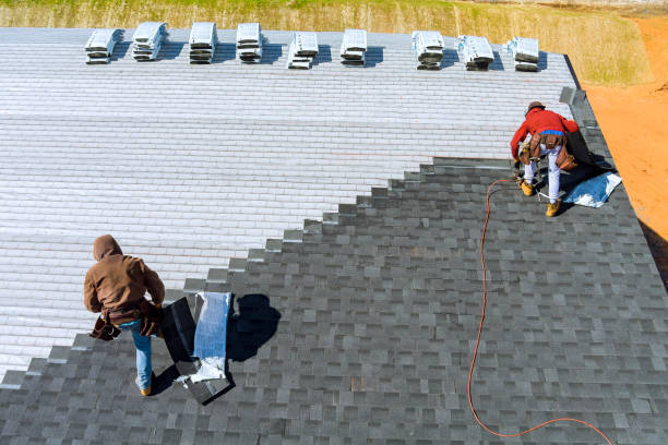 Best Metal Roofing Contractor  in Siesta Acres, TX